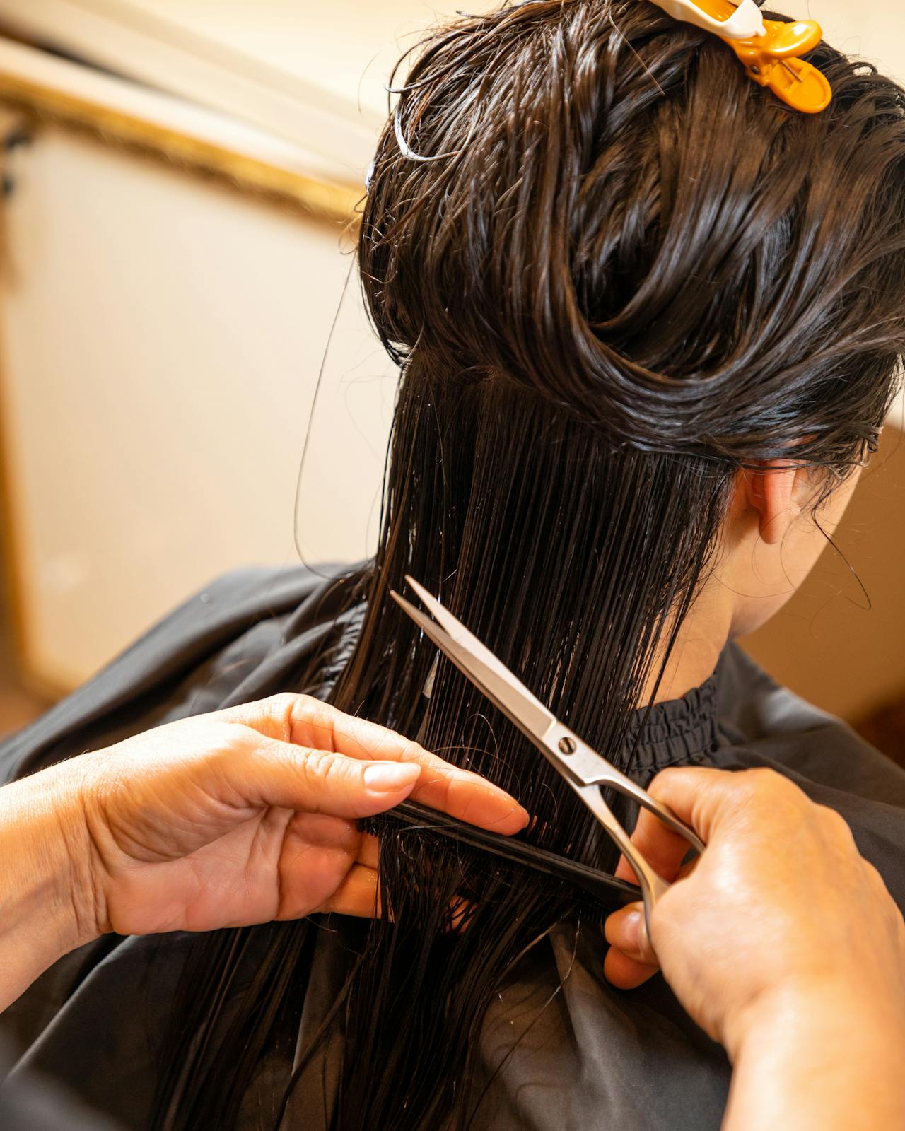 Professional hair styling salon
